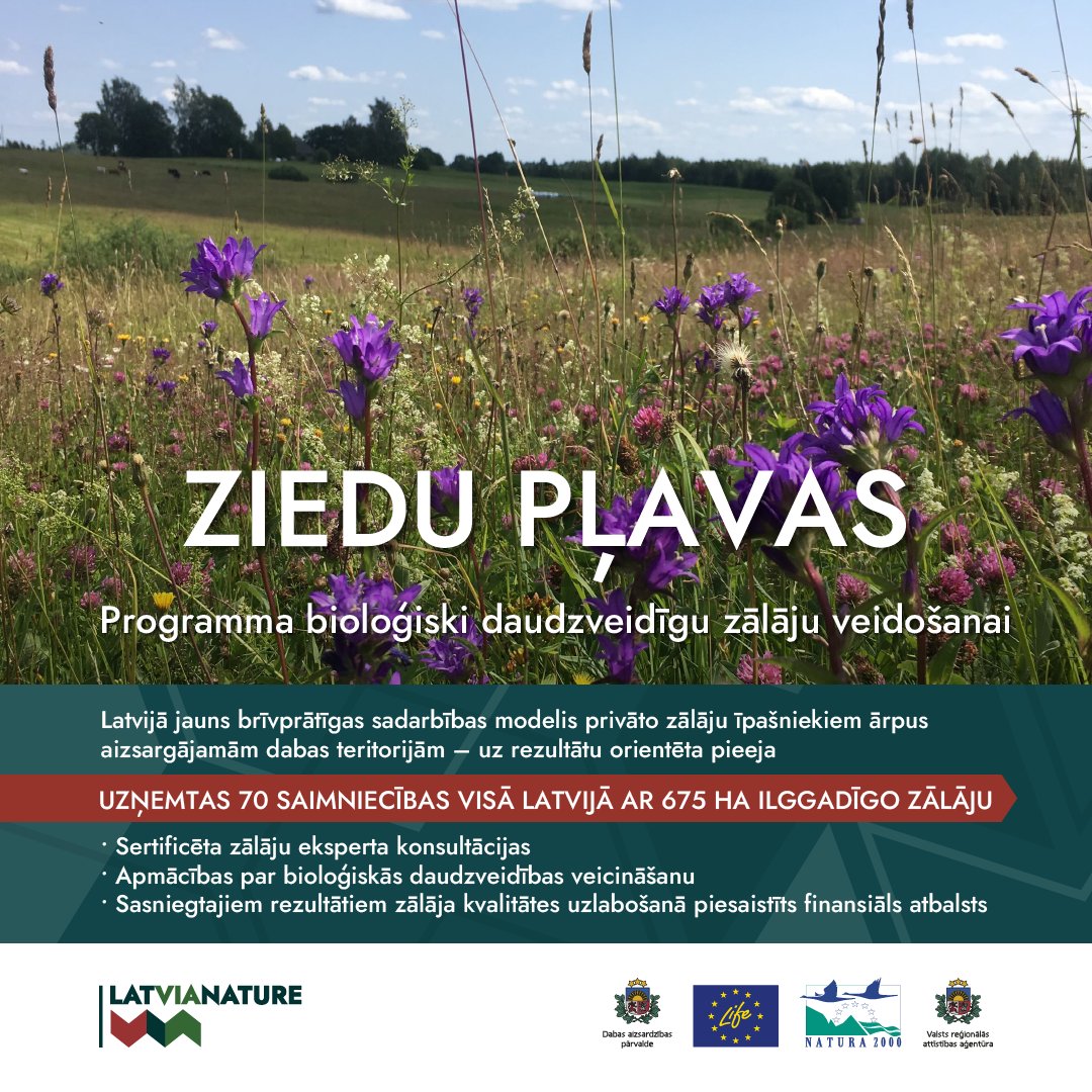 LIFE IP LatViaNature uzsācis Latvijā jaunu brīvprātīgas sadarbības modeļu testēšanu ar privāto zemju īpašniekiem - izveidotas divas programmas – “Ziedu pļavas” un “Dzīvais mežs”. latvianature.daba.gov.lv/jaunumi/testes…