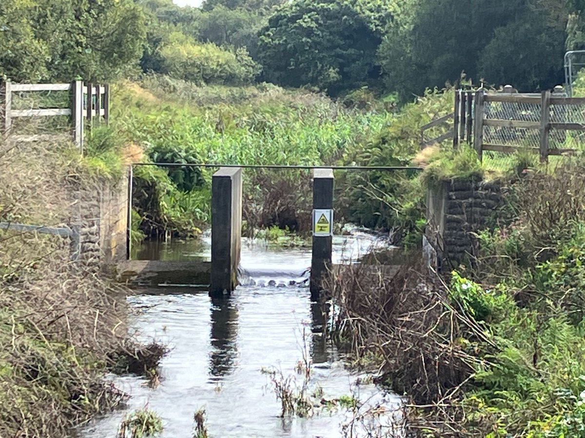 Will Hancock tweet media