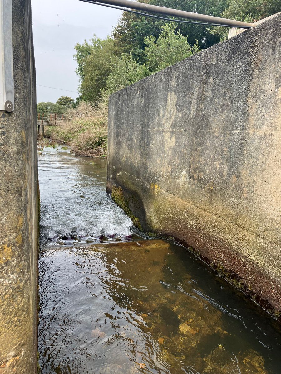 Will Hancock tweet media