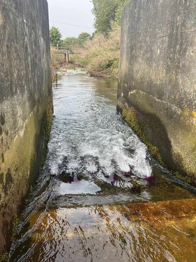 Will Hancock tweet media