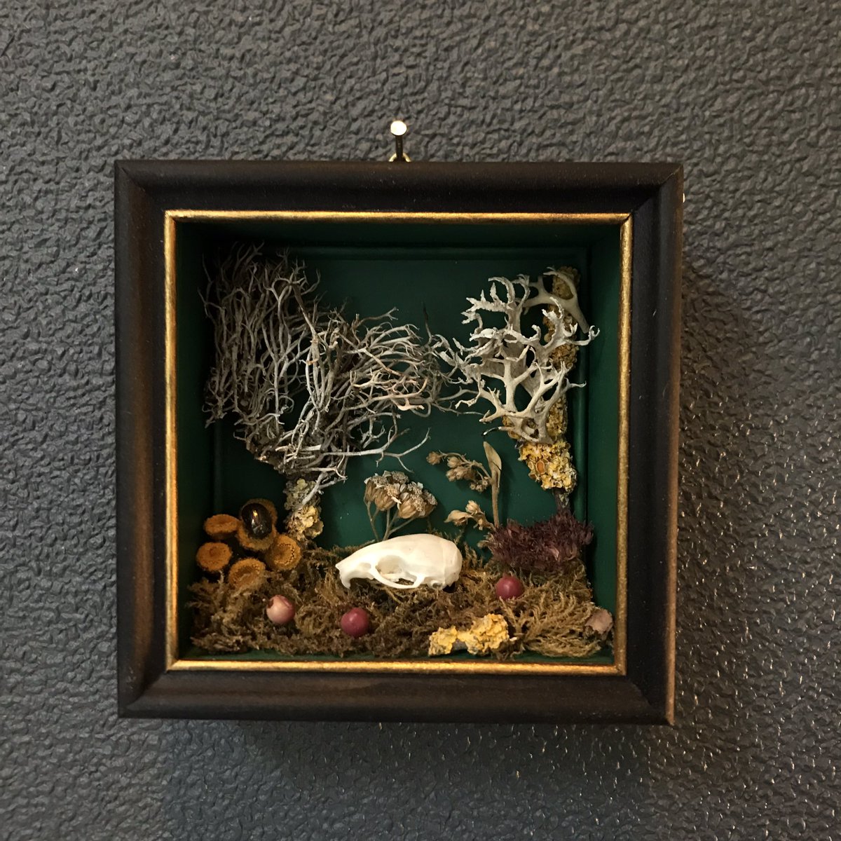 Rariteitenkabinetjes te koop: een zwarte (16,5 x 21,5) en een rode (18x23 cm). Handgemaakt. €450,- per stuk. DM bij interesse. 
Daarnaast nog twee Memento mori kabinetjes (9x9 cm) van €225,- per stuk. 

Retweet is lief