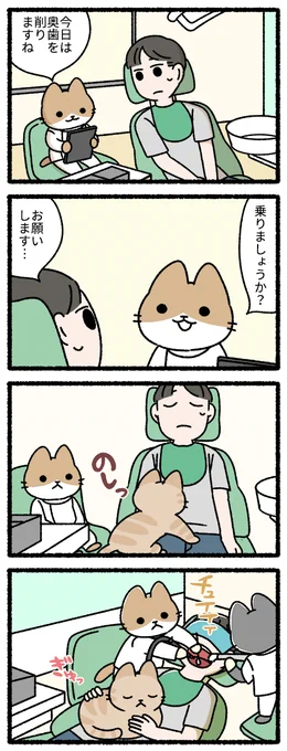 猫の歯医者 #ねこのおしごと