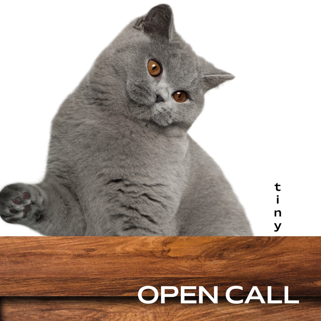 OPEN CALL: tiny⁠ - CALLING ALL ARTISTS & MAKERS⁠ ⁠ A celebration of the little things in life. ⁠ ⁠ Deadline for this Open Call is 11:59pm BST on November 3rd, 2023.⁠ ⁠ aireplacestudios.com for more information.⁠ ⁠