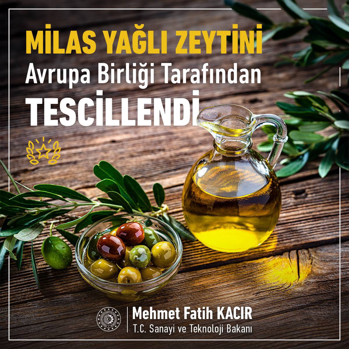 mfatihkacir's tweet photo. Avrupa Birliği nezdinde yapılan “coğrafi işaret” başvuruları ile Türkiye'nin zengin kültürel mirasını ve lezzetlerini uluslararası arenada tanıtmaya devam ediyoruz. 
 
“Milas Yağlı Zeytini” Avrupa Birliği Resmi Gazetesinde yayımlanarak Avrupa Birliği nezdinde tescilli 14. coğrafi işaretimiz oldu. 🫒 
 
2023 yılı bitmeden Avrupa'da tescilli coğrafi işaret sayımız 19'a yükselecek!  
 
Kültürel mirasımızın ve lezzetlerimizin uluslararası arenada tanınmasında atılan bu adımlar, Türkiye’nin gastronomik zenginliklerini dünyaya duyurma hedefimizde ne kadar ilerlediğimizi gösteriyor.

AB nezdinde coğrafi işaret tescili bulunan 14 ürünümüz:

1. Antakya Künefesi
2. Aydın İnciri
3. Aydın Kestanesi
4. Bayramiç Beyazı
5. Çağlayancerit Cevizi
6. Edremit Zeytinyağı
7. Gaziantep Baklavası
8. Gemlik Zeytini
9. Giresun Tombul Fındığı
10. Malatya Kayısısı
11. Milas Zeytinyağı
12. Milas Yağlı Zeytini
13. Suruç Narı
14. Taşköprü Sarımsağı

@TURKPATENT