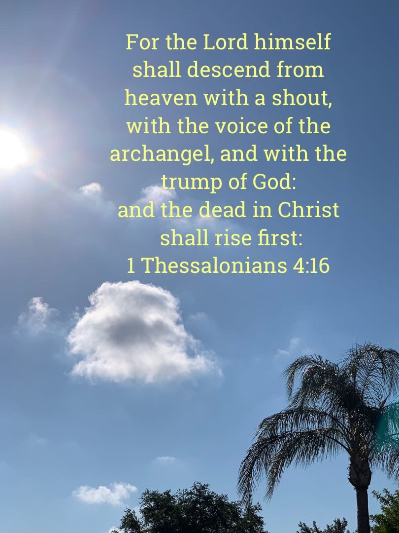 tweets_mb's tweet photo. #Rapture #Lord #Heaven #TrumpOfGod #Christ #Heaven https://t.co/4cJrcXYCV7