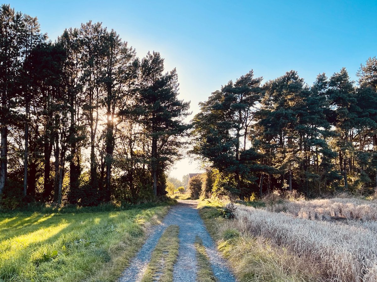 supremegroup's tweet photo. Supremers from all corners of the earth are stepping up to our Step-tember 2023 challenge! Whether running, walking or hiking, the views on the way are fantastic. Stay tuned to find out who will be crowned the ultimate Step-tember winner! 👟 👑

#teamfun #stepchallenge https://t.co/rn0espR5Ok