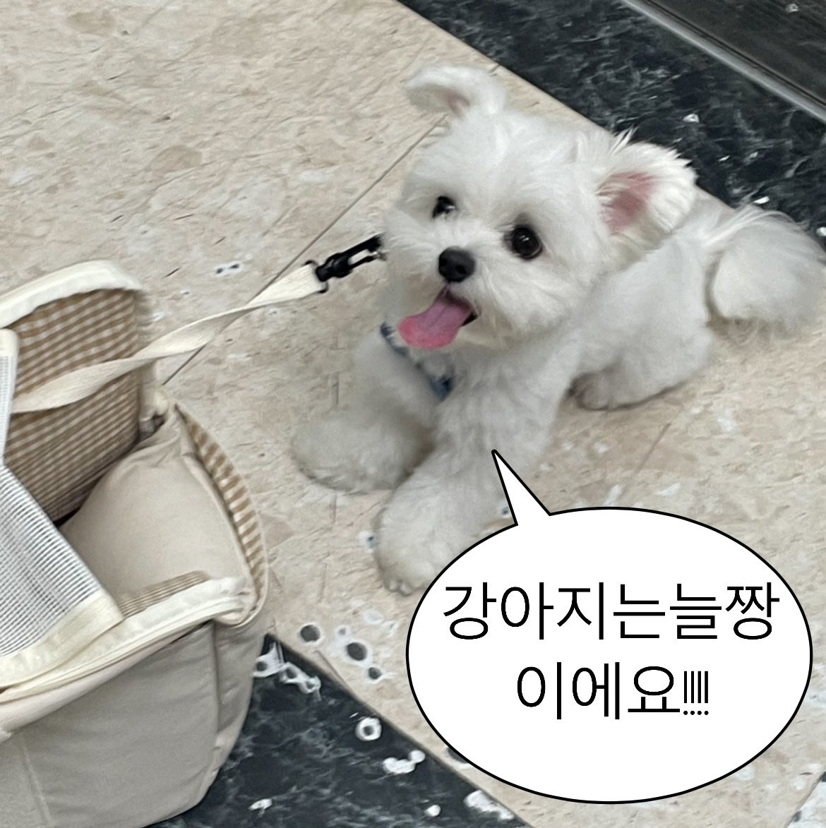 instagram.com/twona2021?igsh…
두나네 인스타그램입니다💗
종종 트위터와는 다른 사진이 업로드되니 많관부