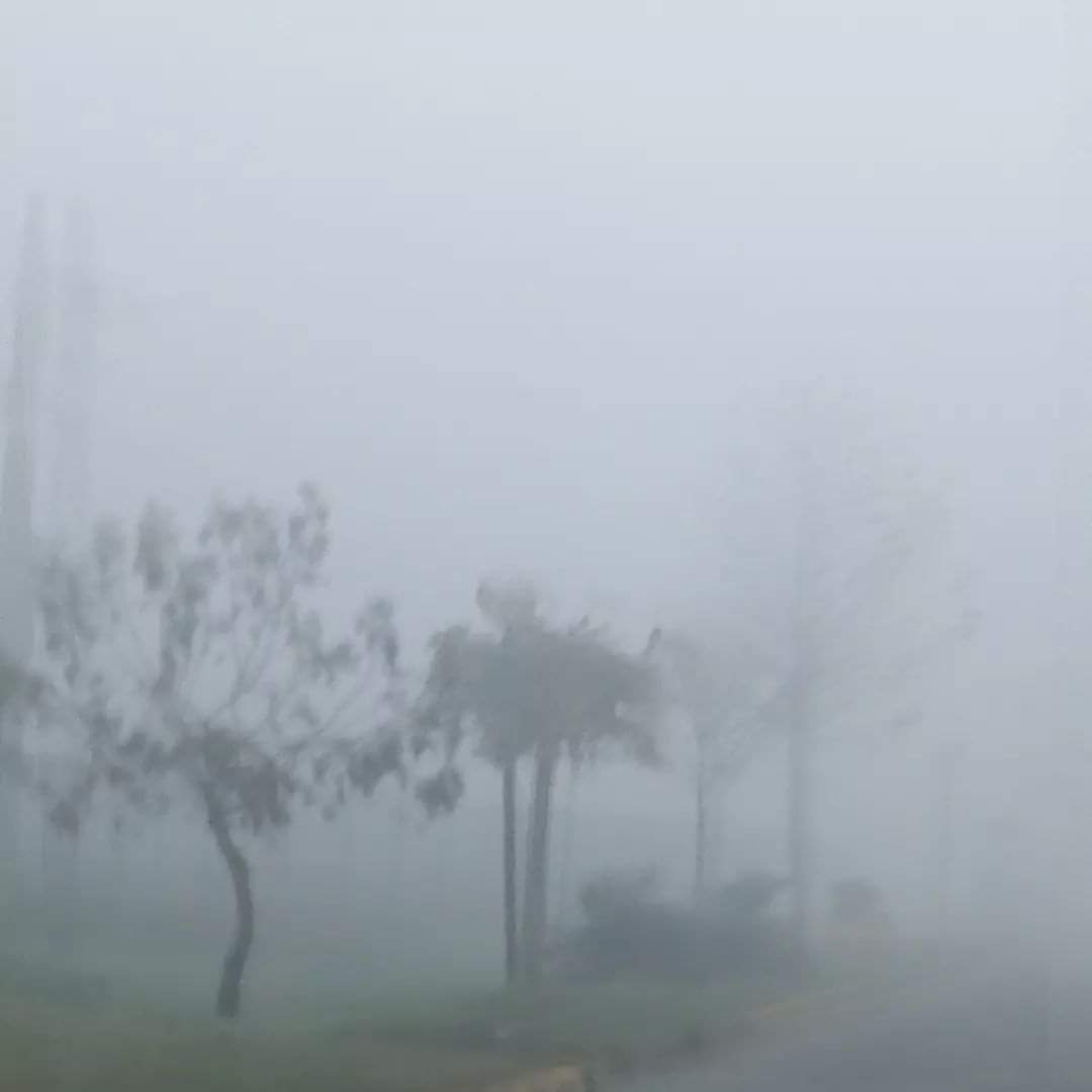 MuniChiguayante's tweet photo. 08:10 am.
Hoy viernes, sol entre niebla / Chiwayantü🧑
Densa neblina en la comuna. A nuestras vecinas y vecinos conductores y peatones les pedimos transitar con mucha precaucion. En Chiguayante #NosCuidamosTodos 🙂 https://t.co/hsCoiWnuxW