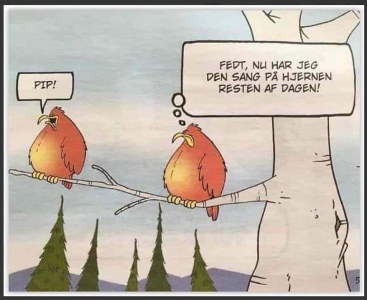 IWraae's tweet image. 