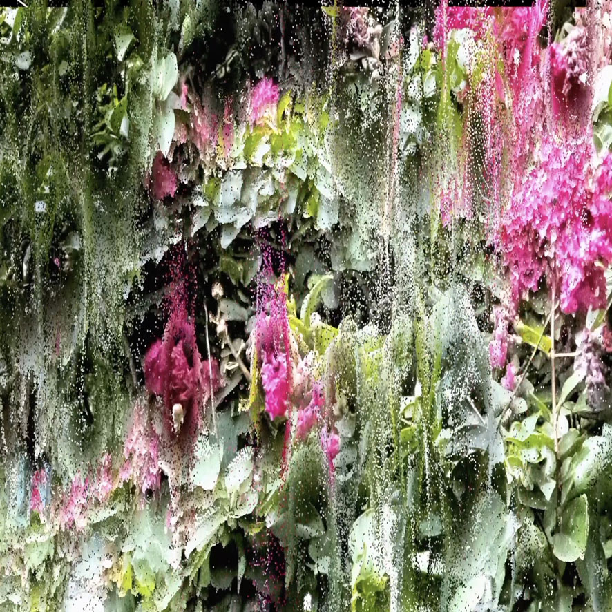 [#Derniersjours]

"Face of universe" de Tatsuru Arai jusqu'au 15 septembre à la Digitale Zone (13008).

Des écosystèmes de différentes villes reproduit par un algorithme et des images &amp; musiques ensuite générées par une IA.

ℹ️ : p-a-c.fr/les-membres/di…