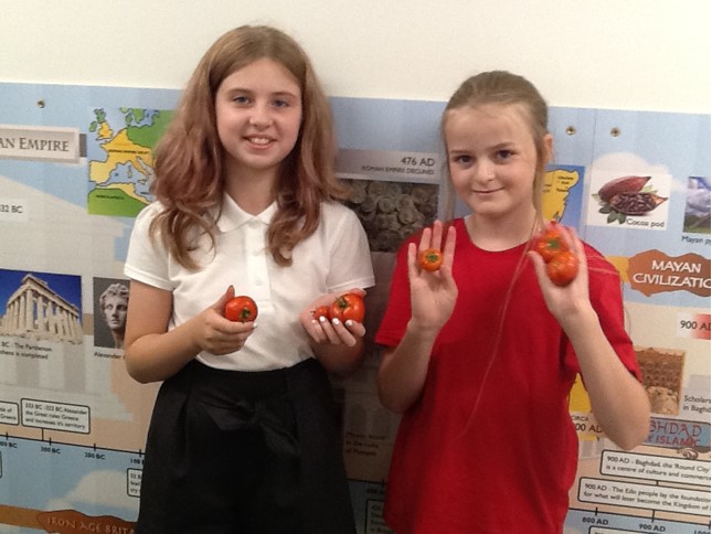 Before summer, we carefully planted and cared for our plants. We looked in the sensory garden yesterday and found some produce! We have some more growing too!