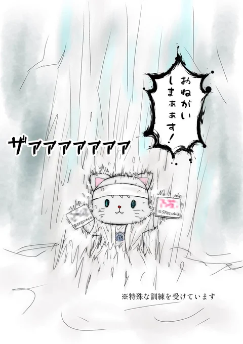 CMのため滝行する さとにゃん先生(※特殊な訓練を受けています) 