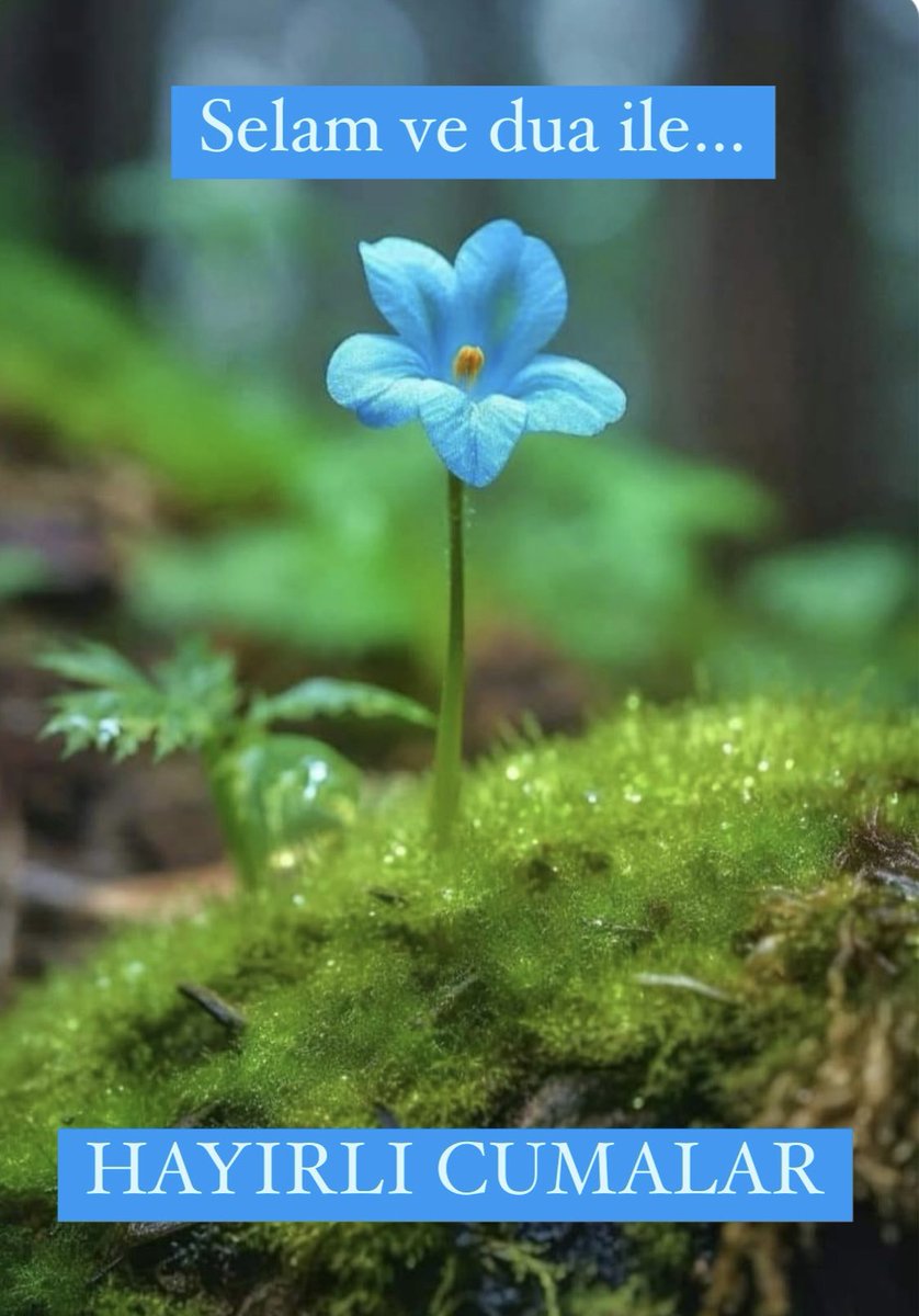 “Zandan sakınınız. Çünkü zan sözlerin en yalan olanıdır. Başkalarının konuştuklarını dinlemeyin, ayıplarını araştırmayın, birbirinize karşı övünüp böbürlenmeyin, birbirinizi kıskanmayın, kin tutmayın, yüz çevirmeyin. Ey Allah’ın kulları Allah’ın size emrettiği gibi kardeş olun…”