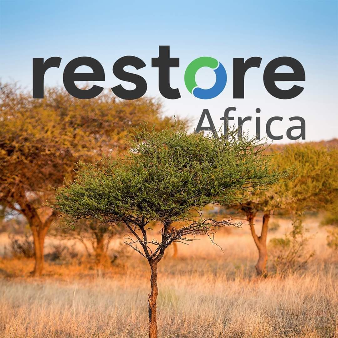 Mascud2020's tweet photo. Restore Africa. https://t.co/EwtUqa4mHp