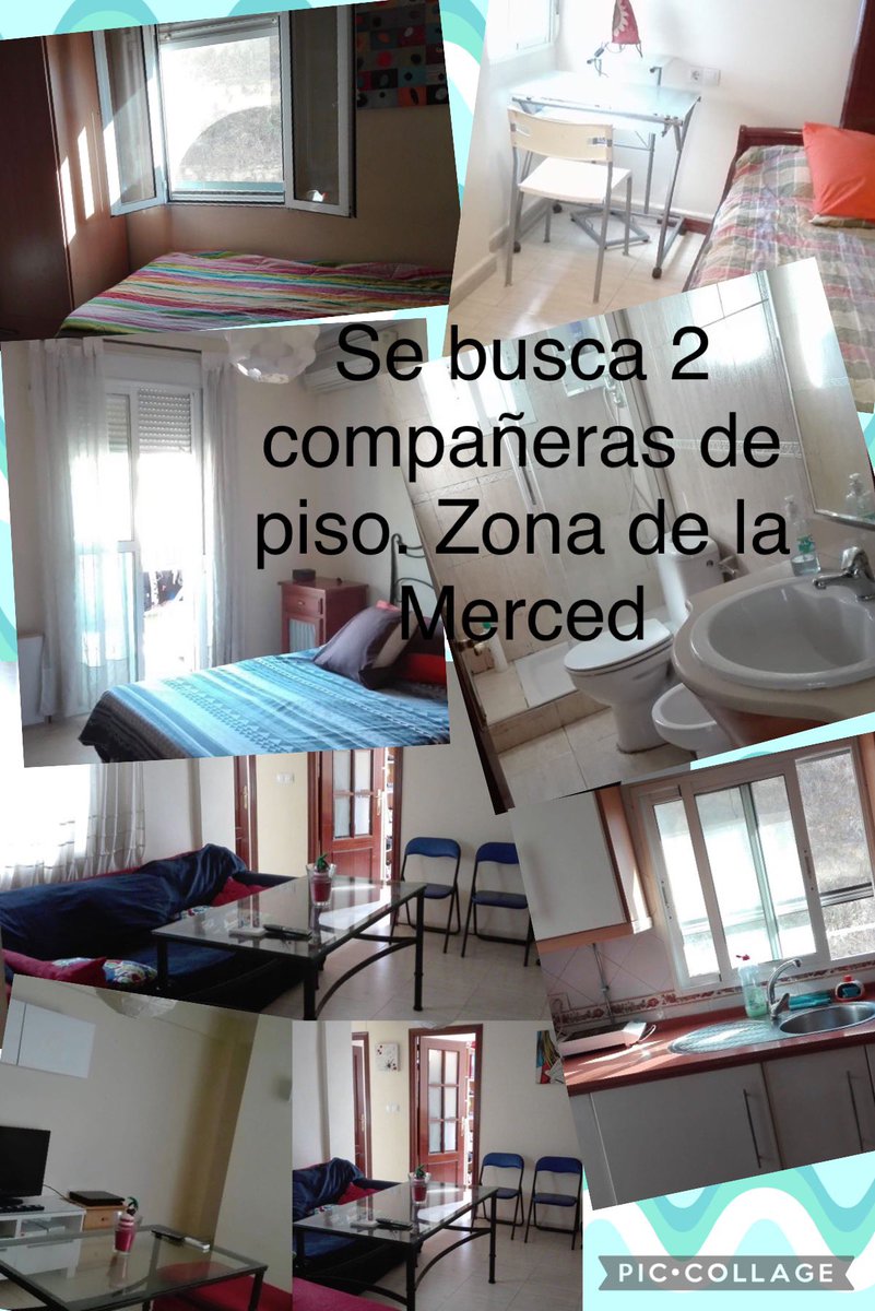 gveloperez's tweet photo. Chica estudiante busca 2 compañeras de piso. Zona la Merced. Contactad por privado

Se ruega difusión 

Gracias

#queydondeestudiar23 #Queydondeestudiar2023
#uhu #pisosuhu #pisoshuelva #universidadhuelva https://t.co/ftwbSnjsYB