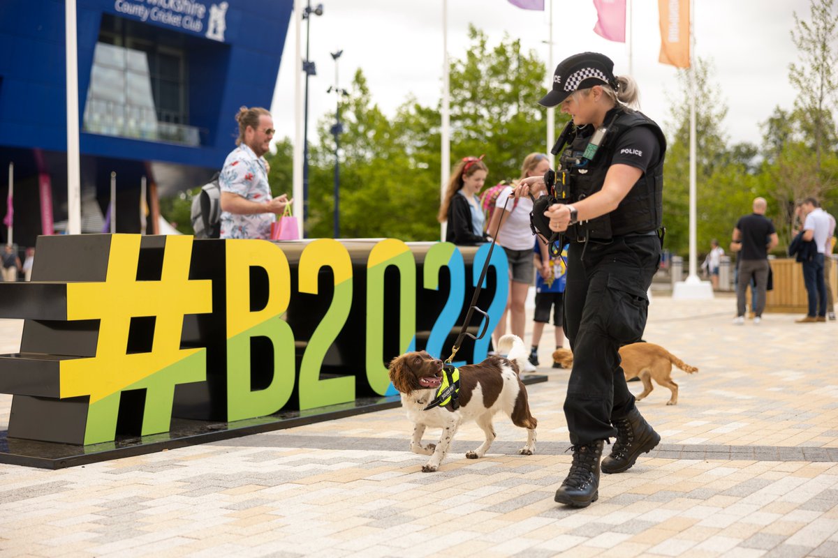 Twitter I need your help... which of these pics is your fave, for a new display panel featuring the #CommonwealthGames2022? Please indicate your preference with a 1 (confetti), 2 (red arrows) or 3 (dog & handler) as a reply. Thanks in advance 😁