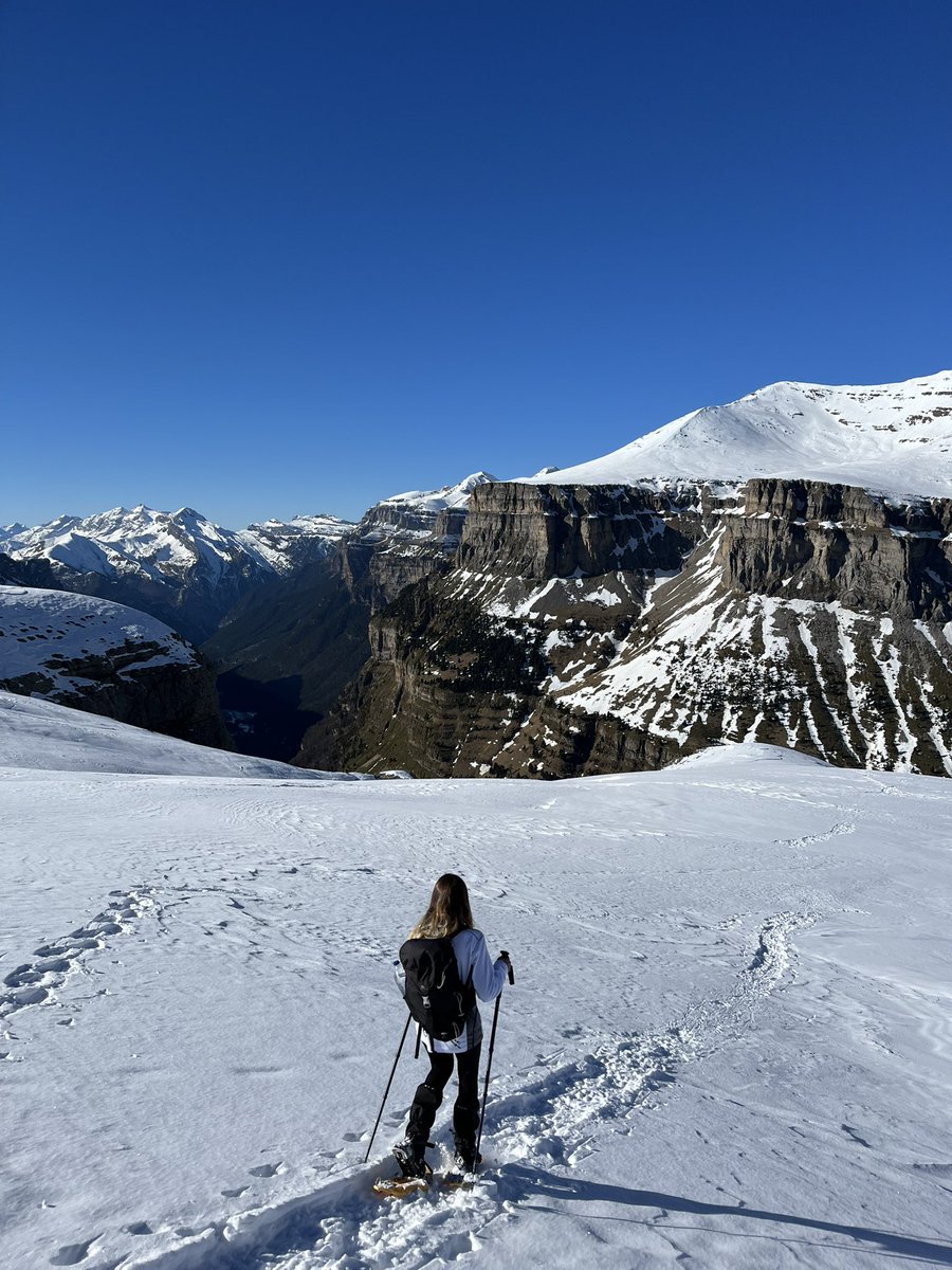 Marcos ⚡︎ 🏃🏻 tweet media