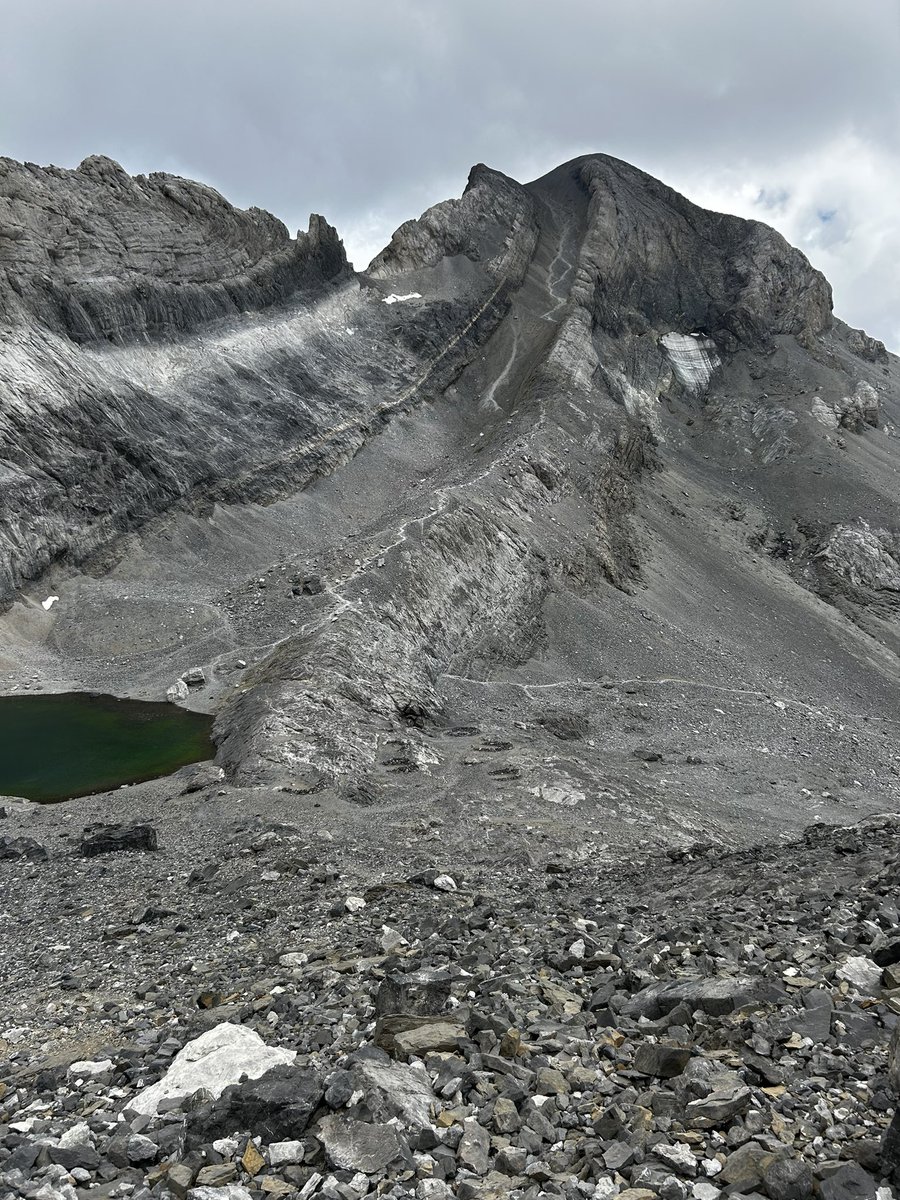 Marcos ⚡︎ 🏃🏻 tweet media