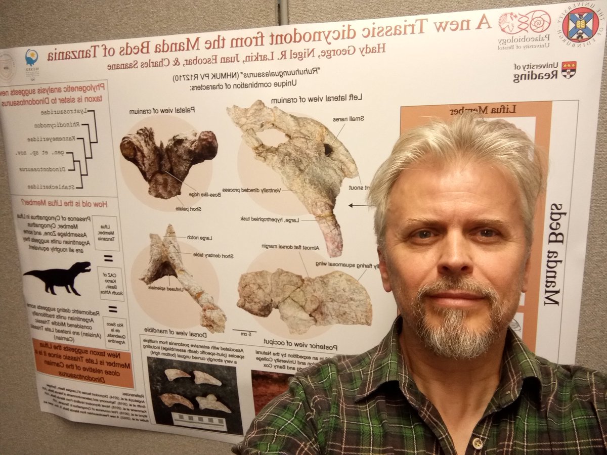 MrIchthyosaurus's tweet photo. #Poster #Selfie at #SVPCA2023 in Lincoln. This poster with @HoudzGeorge describes a new genus of #Triassic #Dicynodont.
#FossilFriday https://t.co/9KHuajLSEU