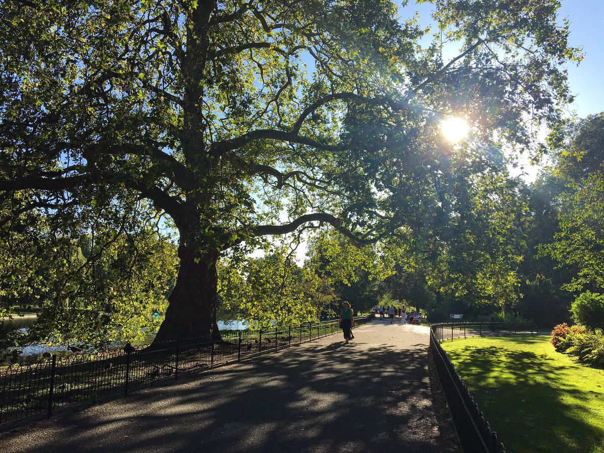 Beautiful afternoon in St James’s Park #StJamessPark #RoyalParks #LoveLondon #ThePhotoHour @theroyalparks @LDNGardensTrust @LondonNPC @Ramblers_London @WildLondon