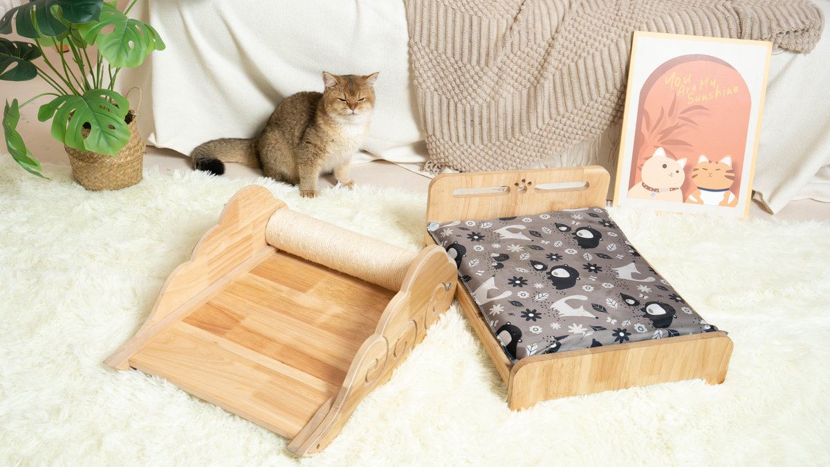 Cat Furniture: Must-Have Furniture for Cat Owners. Cat furniture is indispensable for cat owners, such as cat house, cat bed, cat bowl. These furniture provide the rest, play, entertainment and eating needs of cats, keeping them happy and healthy.#petomg #cat #catcute #cattree