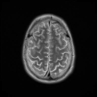 say gm to my brain