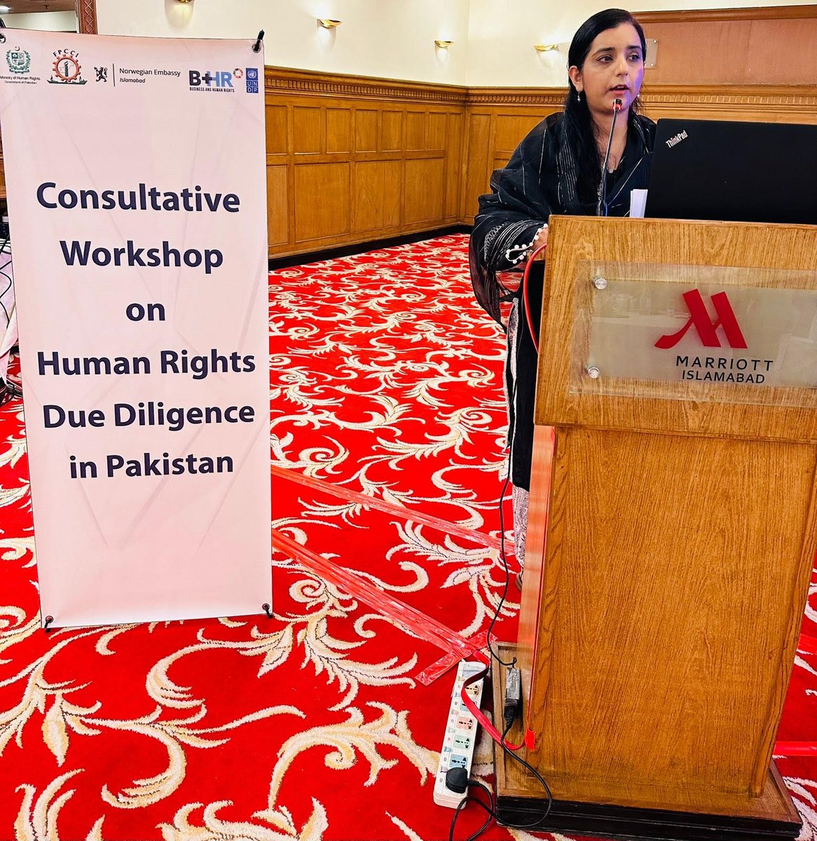 UNDP_Pakistan's tweet photo. #UNDPinPakistan &amp; @mohrpakistan, w/ support from @NorwayinPak, held a consultation in Islamabad w/ the public &amp; private sectors to develop a regulatory roadmap for advancing human rights due diligence in Pakistan, aimed at protecting the most vulnerable across value chains. https://t.co/tPAbxuEHcc