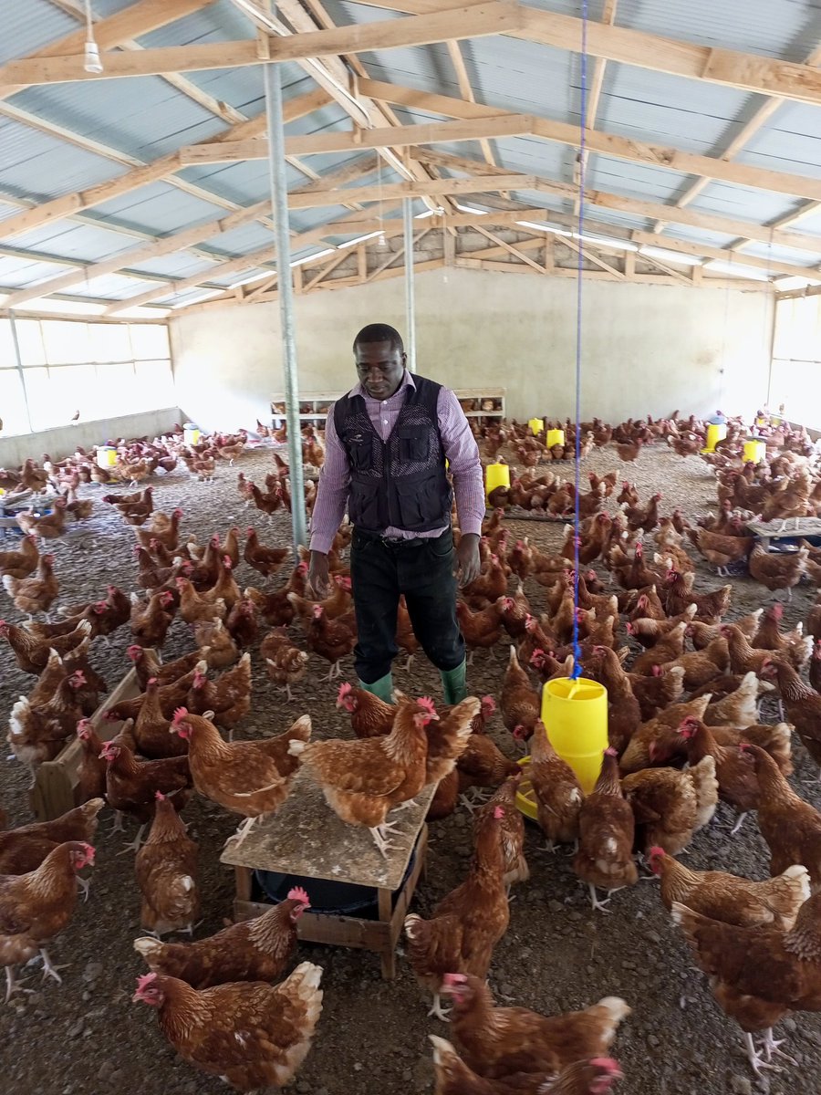 hesbon kwame antwi (@pino2568) on Twitter photo 