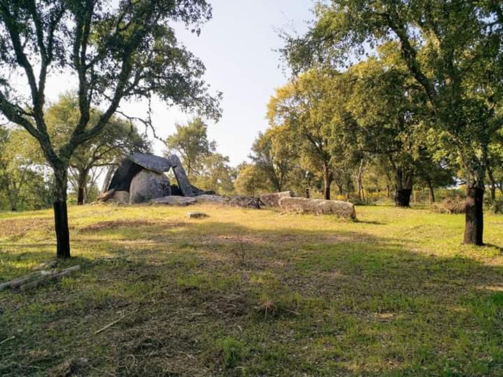 Gabri91MG's tweet photo. "Extremadura es para mí el olor feliz de la infancia.

El susurro perdurable de una legión de antepasados que sobreviven en mí.
La hospitalidad antigua de la gente,
El color de los atardeceres inacabables del verano.

Extremadura es para mí el mundo."

¡Feliz Día de Extremadura! https://t.co/oZ0byVUcJ3