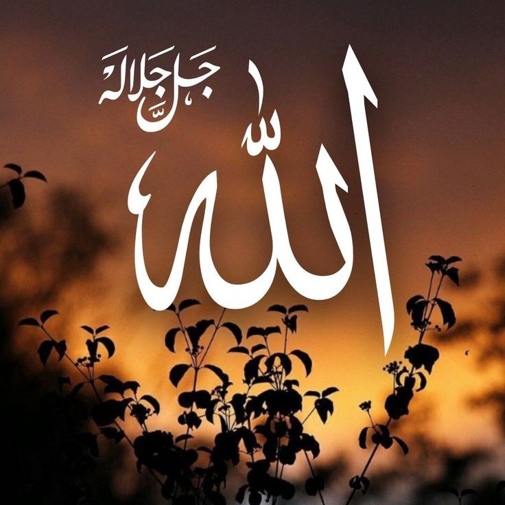 RealityWatch1's tweet image. Bless your timeline with name of Allah.♥️ #JummahMubarak

#Marimuthu #RulesRanjann #Jawan #AbhishekMalhan #Bageshwar #Ethirneechal #RIPMarimuthu #JawanReview #JummahMubarak #TejRan #G20India2023