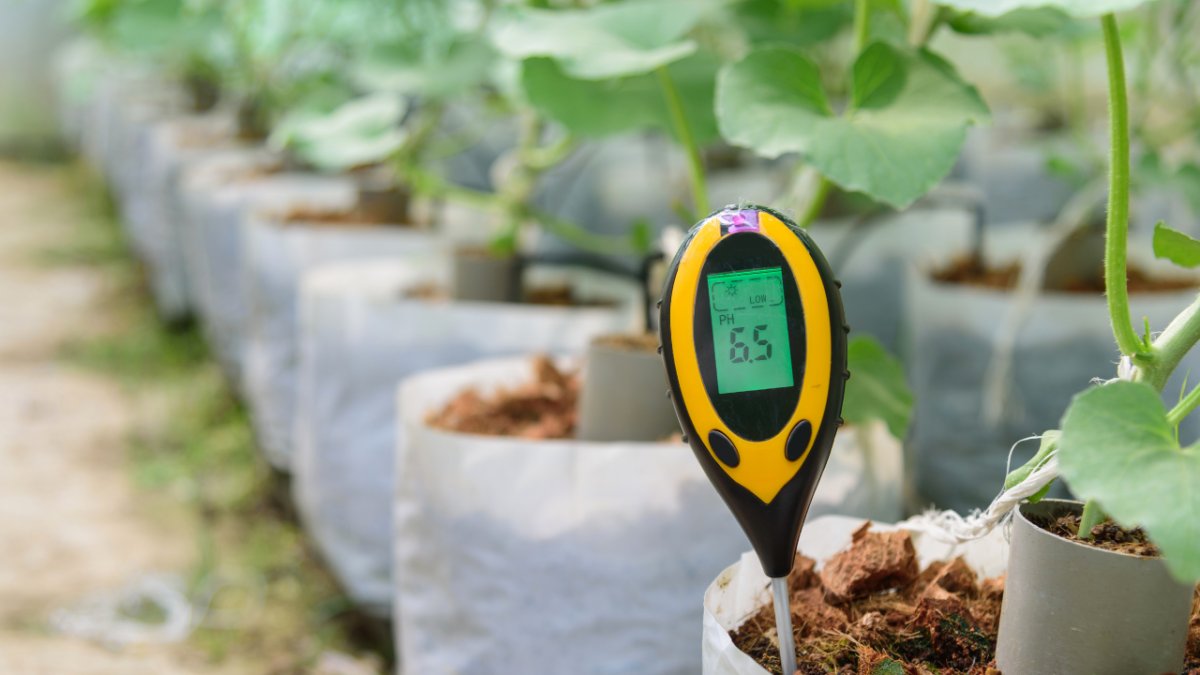 Q_Technologies worked with the @VEC_VE in improving the quality of their sensors, used to accurately measure the health levels of soil including assessing nitrogen, potassium and temperature for example... tinyurl.com/3py9t64n