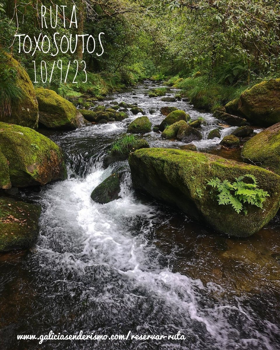 ÚLTIMAS PLAZAS !!! 
Ruta de Senderismo / Toxosoutos
DOMINGO 10/9/23 / 9:45 h
- INFORMACIÓN: 609531105 / Sindo
- INSCRÍBETE AQUÍ: galiciasenderismo.com/reservar-ruta

#galiciasenderimo #reels #trekking #fotografia #naturaleza #riamurosnoia