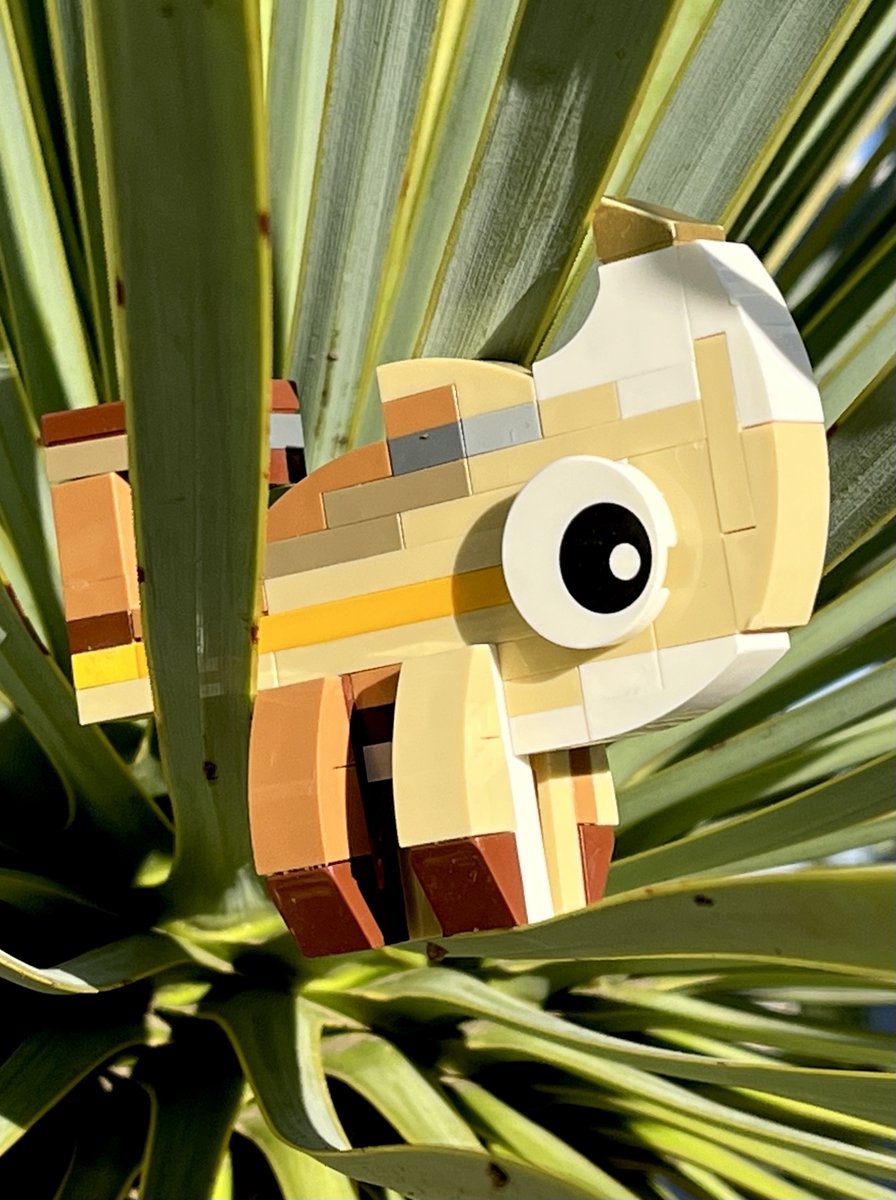 PisangG23's tweet photo. GM GM itβs a Friday full of sunshine!
π
#GoodTrouble #chameleon #LEGO #TinyTroubles #LifeOnAStick https://t.co/kfNAoISVtv