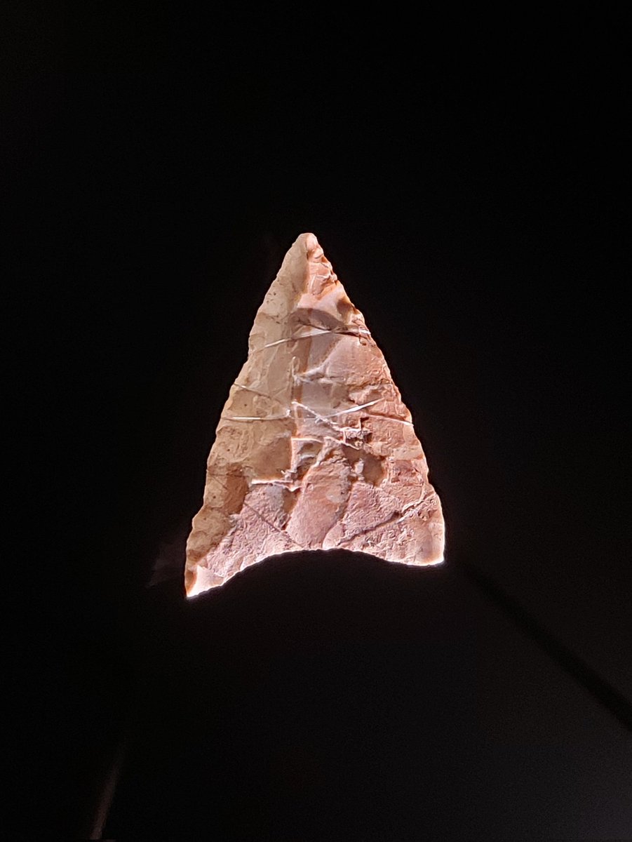 DrNWillburger's tweet photo. A result of Janeway's meddling with the timeline π
Happy #StarTrekDay! π
#StarTrek #FindsFriday
#FlintArrowhead #Klingenberg #3600BC https://t.co/EUdhp8r8sJ