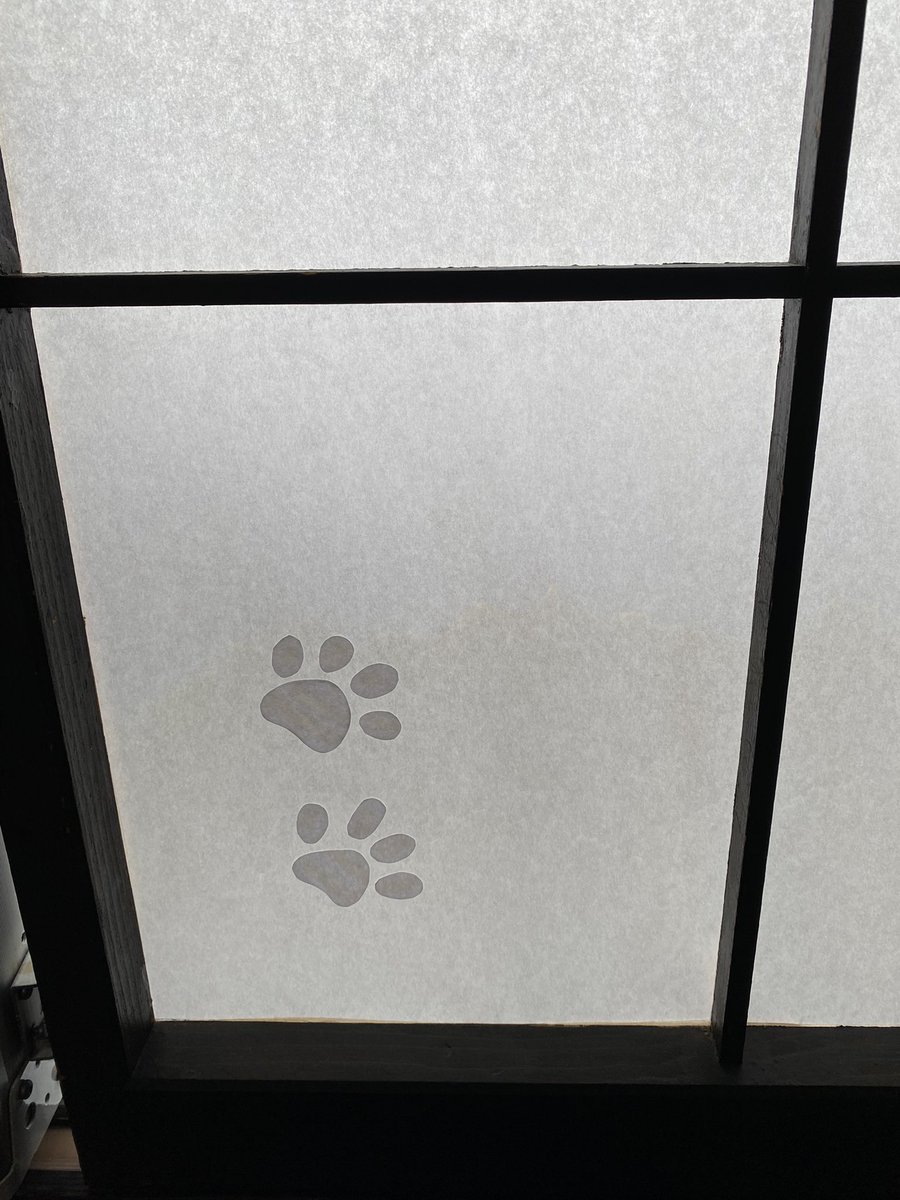 そしてずっと泊まってみたかった中村屋旅館。ネコチャン!んネコチャン!!ネコ天国旅館!🐾 