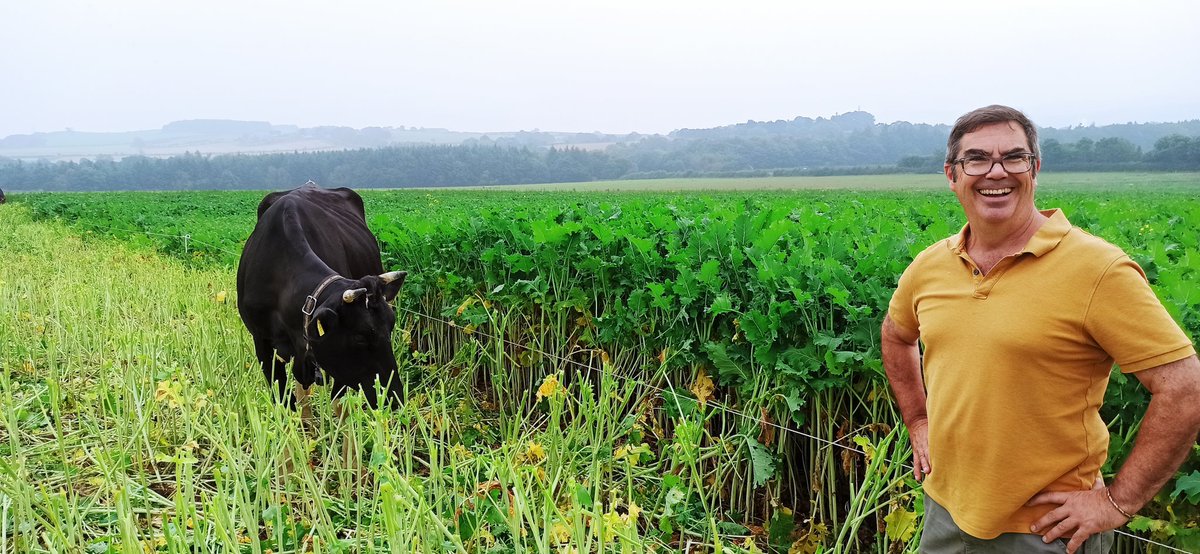 JuliaSoilsister's tweet photo. @paolomuto showing off the @DLFSEEDS_UK stand of Interval forage brassica @NUFarms #impressiveinthefield cows loving it too! https://t.co/y9rPhxyQe5