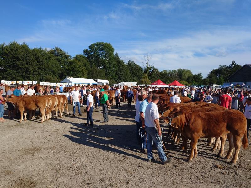 Un festival de bon augure pour le national dlvr.it/Svp1pZ