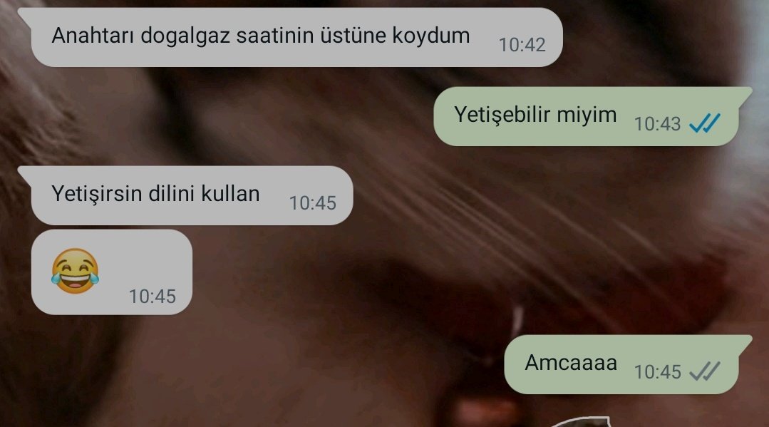 Amcam beni nasıl zortluyo