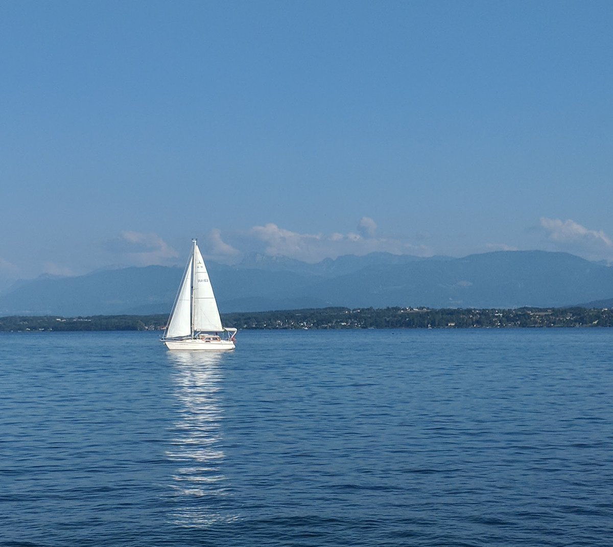 Stack Hodler tweet media