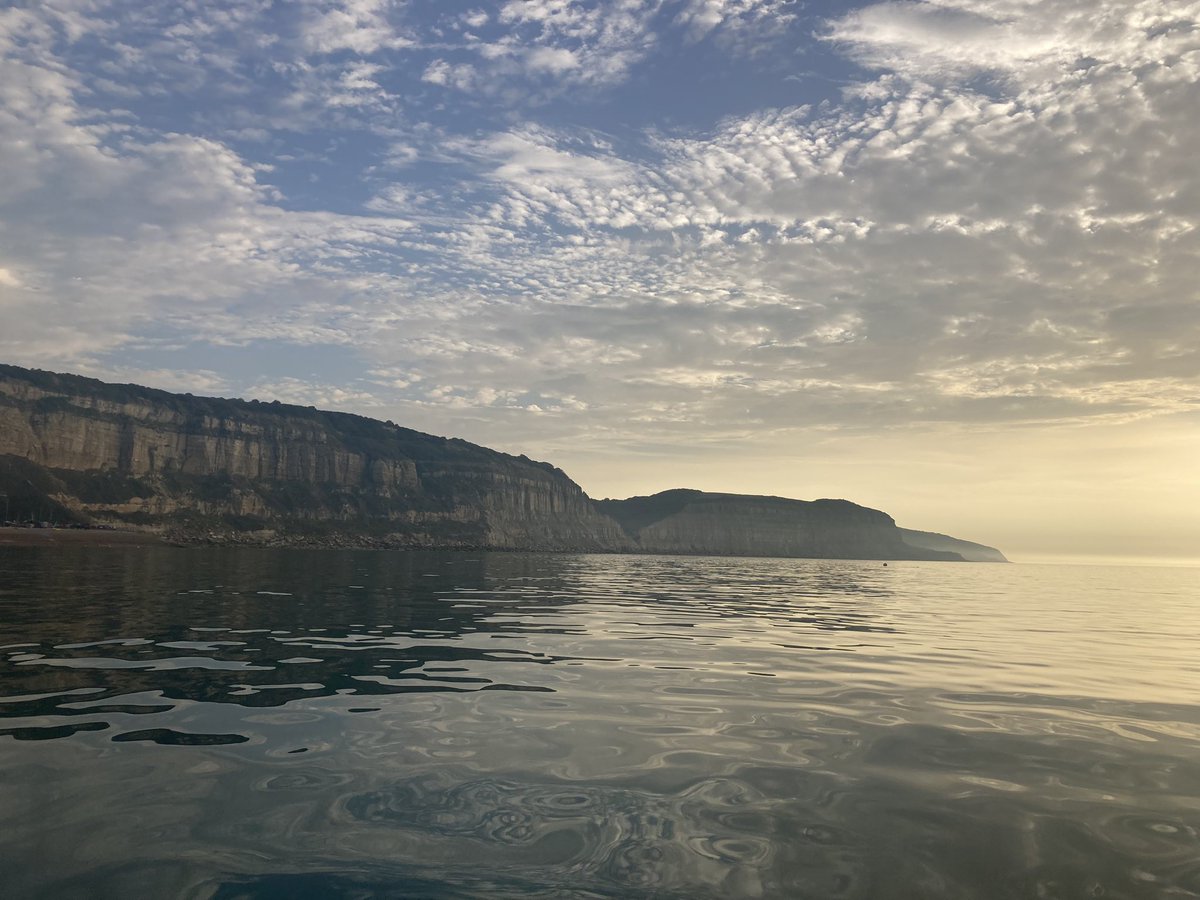 judycogan's tweet photo. I didn’t press snooze and I saw a feckin’ SEAL! #sunrisesup #hastings #Fridaymorning #seaside https://t.co/0VvXGGXEwc