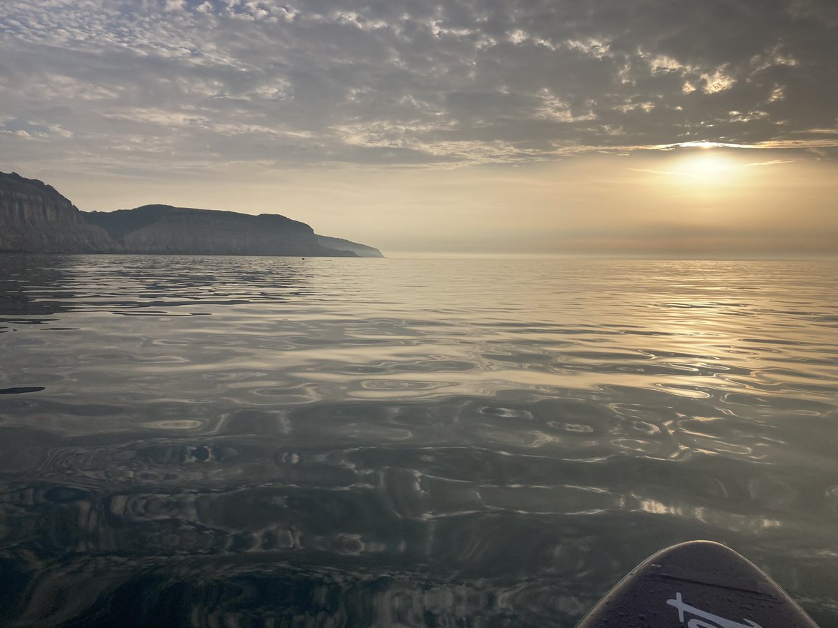 judycogan's tweet photo. I didn’t press snooze and I saw a feckin’ SEAL! #sunrisesup #hastings #Fridaymorning #seaside https://t.co/0VvXGGXEwc