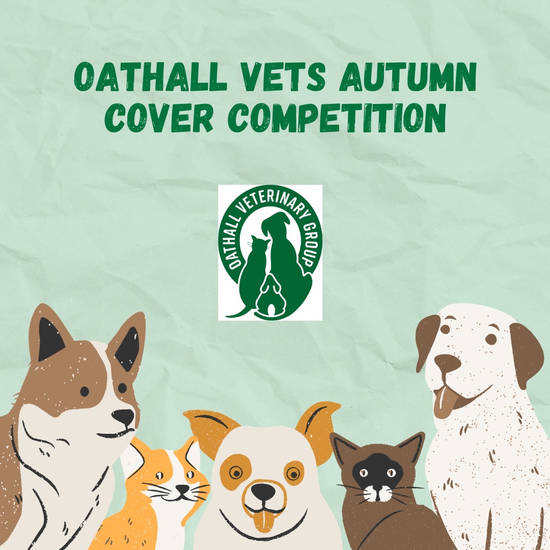 OathallGrp's tweet photo. We are running a fb competition over on our fb page to become our new cover.  See the pinned post to take part https://t.co/1ZK3DlkOSJ

#haywardsheath #sussex https://t.co/dIePRZgEfs