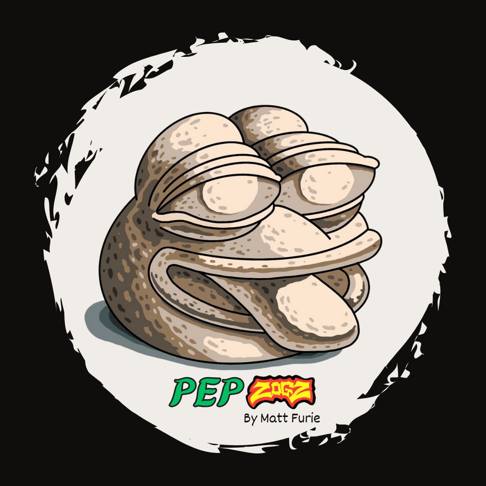 CKC Crypto tweet media