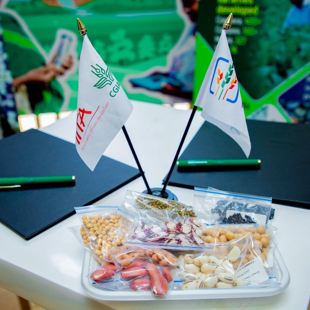 Through the landmark partnership, the Crop Trust commits to providing a guaranteed source of funding for the International Institute of Tropical Agriculture <a href="/IITA_CGIAR/">IITA</a> genebank, the Genetic Resources Center <a href="/iitagrc/">IITA GENEBANK</a>, in perpetuity.