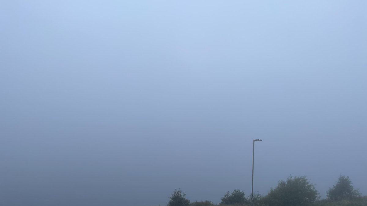 🏴Mike - ArgyllSeaglass 🏴 tweet media