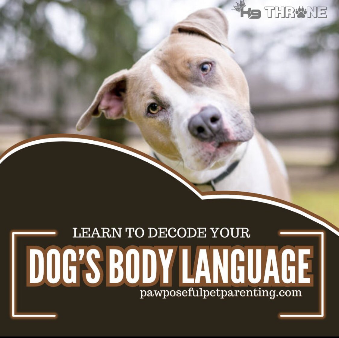 K9Throne's tweet photo. Unveil the Secrets of Canine Communication! 🐶 Decode your dog's emotions, from joy to anxiety, with our guide to understanding body language. Strengthen your bond and nurture a relationship built on trust and love. 🐕❤️

#dog #dogbodylanuguage #aggressivedog #whatmydogthinks https://t.co/ILq6J74otr