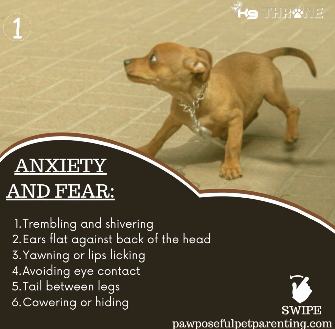K9Throne's tweet photo. Unveil the Secrets of Canine Communication! 🐶 Decode your dog's emotions, from joy to anxiety, with our guide to understanding body language. Strengthen your bond and nurture a relationship built on trust and love. 🐕❤️

#dog #dogbodylanuguage #aggressivedog #whatmydogthinks https://t.co/ILq6J74otr