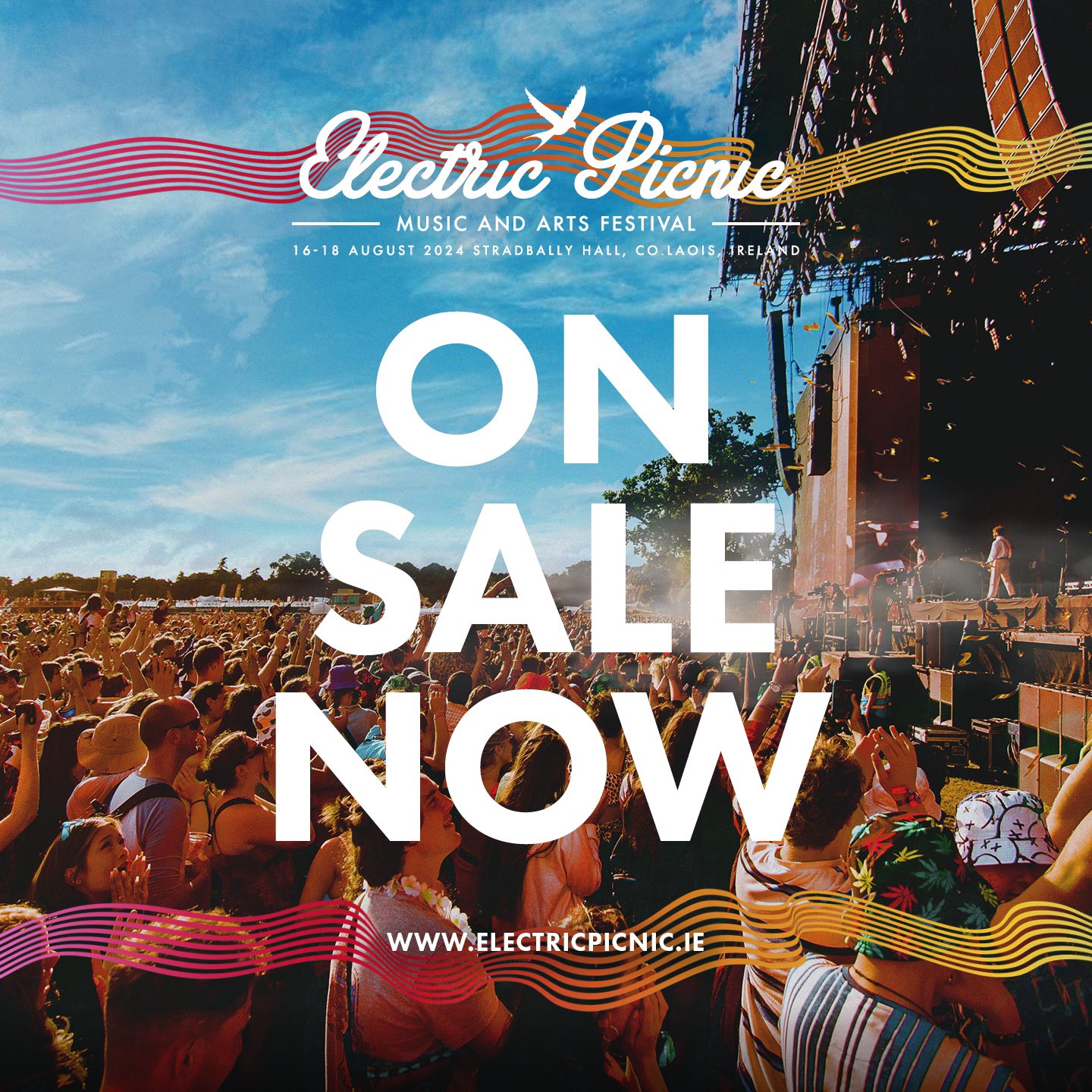 Electric Picnic EPfestival X