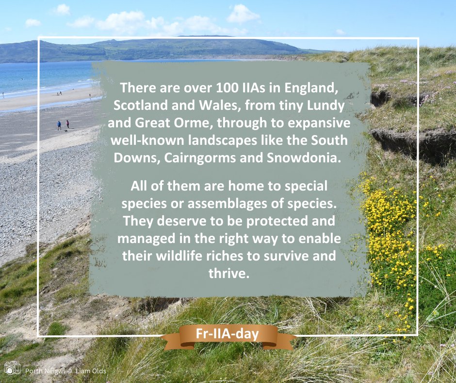Our new web pages outline: 
  ❓what IIAs are; 
  🔎how they were identified &amp; mapped; 
  🪳as well as the decisions that have gone into selecting species; 
  🤔&amp; providing case studies of #IIAs &amp; how they will be used in the future

👇
buglife.org.uk/our-work/impor…

🧵/2 #FrIIAday