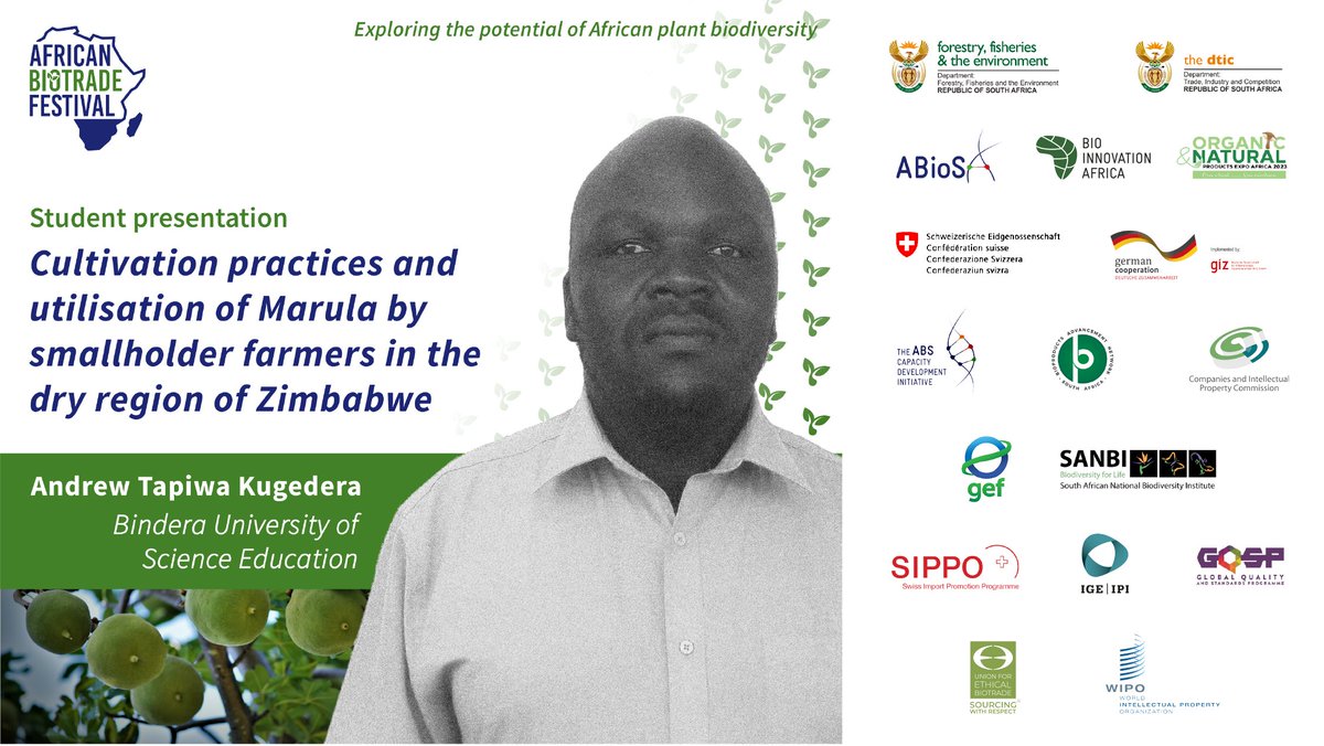 AfricanBioFest's tweet photo. Andrew Kugedera’s research on ‘Cultivation practices &amp; utilisation of Marula by smallholder farmers in the dry region of Zimbabwe’ aims to highlight Marula’s potential to form a new biotrade industry capable of empowering rural communities and industry. https://t.co/RtKnw3aIt1 https://t.co/T8ozLh8jP5